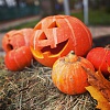 img_1092-scaled-2.jpeg