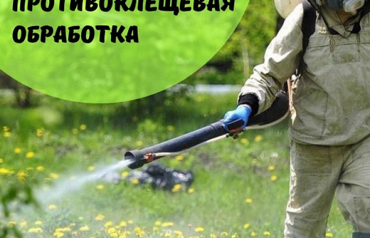 Противоклещевая обработка